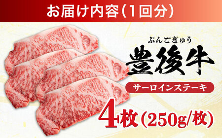 【全12回定期便】おおいた豊後牛 サーロインステーキ 1kg (250g×4枚) 日田市 / 株式会社MEAT PLUS　肉 牛肉 和牛[AREI061]