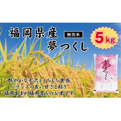 ふるさと納税 赤村 《無洗米》【令和7年産】【食味鑑定士厳選】福岡県産 夢つくし5kg(5kg×1袋)(赤村)