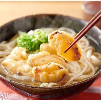 ふるさと納税 福岡市 博多ごぼう天うどん　10食セット AD08