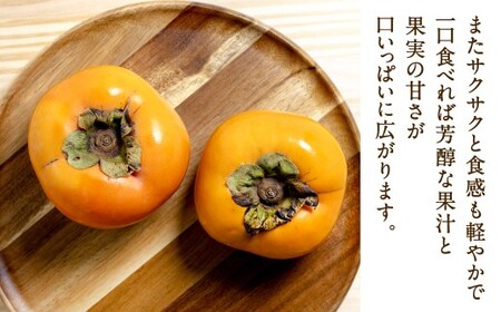 福岡県産 博多秋王【優等品】 計約10.5kg以上【約3.5kg以上（8玉～12玉入り） ×3箱】【2026年10月下旬～12月上旬発送予定】柿 かき 果物 フルーツ くだもの 先行予約