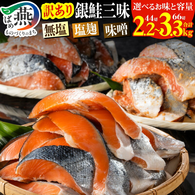 【ふるさと納税】【訳あり】銀鮭切身 約2.2kg/約3.3kg 無塩 塩麹 味噌 選べる味と容量 【 鮭 シャケ さけ サーモン 1切あたり約50g 海鮮 魚 魚介 セット 切り身 打ち身 色飛び カマ入 お弁当 おかず 規格外 不揃い 着日指定不可 冷凍 新堀 燕三条 新潟県 燕市 】 [10001470]
