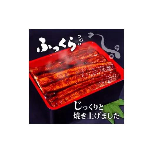 うなぎ 蒲焼き 特大 鰻 200g×20尾 セット蒲焼きのタレ 付き 冷凍 高知県 須崎市 （うなぎ 蒲焼き 冷凍 スタミナ 土用の丑の日 タレ 小分け タレ付 鰻 ウナギ）