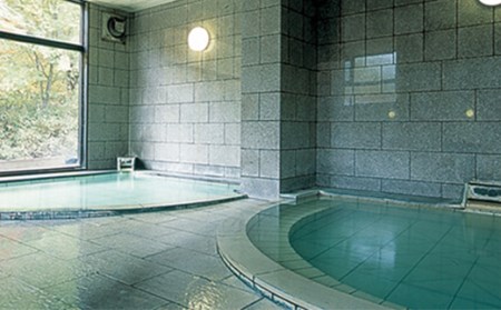 秘湯! 源泉かけ流し 【松川温泉 松川荘】 1泊2食付 1名様 (和室D) ／ 宿泊券 旅行 温泉 露天風呂