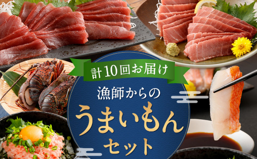 【定期便10回】海からの贈り物！漁師からのうまいもん定期便 まぐろ 鮪 鰹 まぐろたたき カツオのたたき ネギトロ 伊勢海老 金目鯛 刺身 お楽しみ 海鮮 冷凍 魚 海産物 魚介類 高知県 緊急支援品 訳あり 不揃い 傷 規格外 故郷納税 送料無料 室戸定期便 tk007