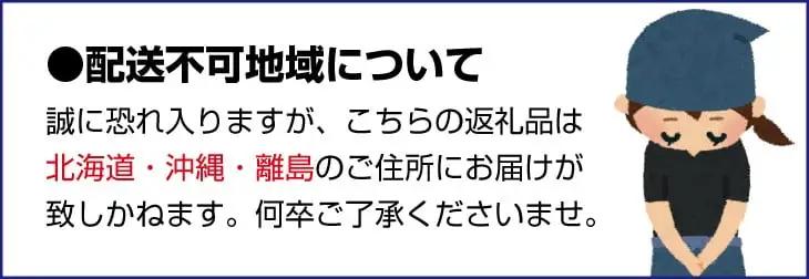 有田育ちの完熟清見オレンジ(ご家庭用)　3kg+200g(補償分)【2027年2月下旬～5月上旬頃に順次発送予定】【ard016C】
