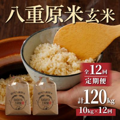 ふるさと納税 東御市 令和7年新米受付【12回定期便】八重原米10kg玄米※2025年10月以降発送|笹屋農園