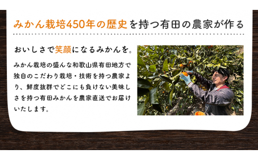 【10月発送】有田育ちのご家庭用完熟 有田みかん 8.5kg＋200g（傷み補償分） 【ard196B-10】