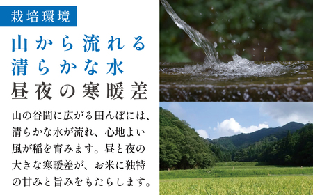 定期便 お米 特A 湧水米コシヒカリ【 5kg 6回 】定期便