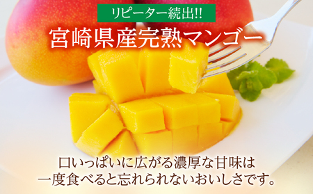 特大5Lサイズ 宮崎県産 完熟マンゴー 2玉 化粧箱入り 令和8年発送分 期間限定 数量限定 フルーツ 果物 くだもの 国産 食品 デザート おすすめ ご褒美 贅沢 産地直送 特大 希少 お祝 お土産