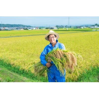 ふるさと納税 伊賀市 特別栽培米 伊賀米コシヒカリ真空パックセット |  | 03