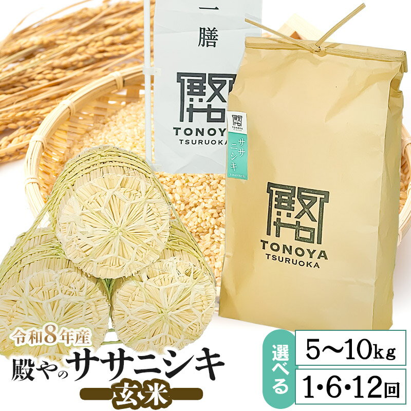 【ふるさと納税】令和8年産殿やのササニシキ 【玄米】　容量お選びください［5kg×1袋］［10kg×1袋］［5kg×6回］［5kg×12回］［10kg×6回］［10kg×12回］定期便　山形県鶴岡産　K-845/K-887