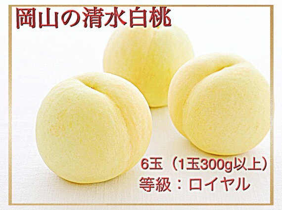 【ふるさと納税】【令和7年発送・先行予約】岡山県産　清水白桃（1玉300g以上）6玉　等級：ロイヤル　化粧箱入り　Iz-1