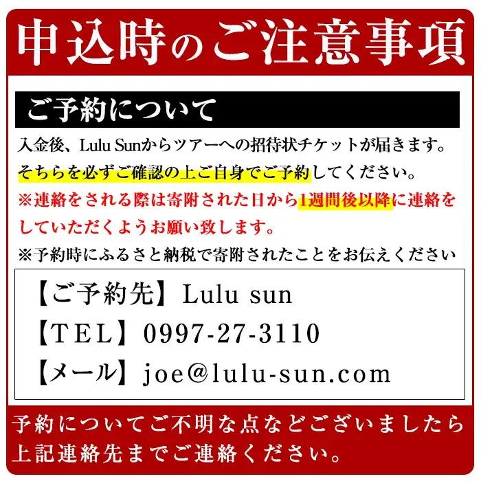 n117 シー カヤック 1day ツアー 1名様分・7時間 ランチ付 種子島 【Lulusun】