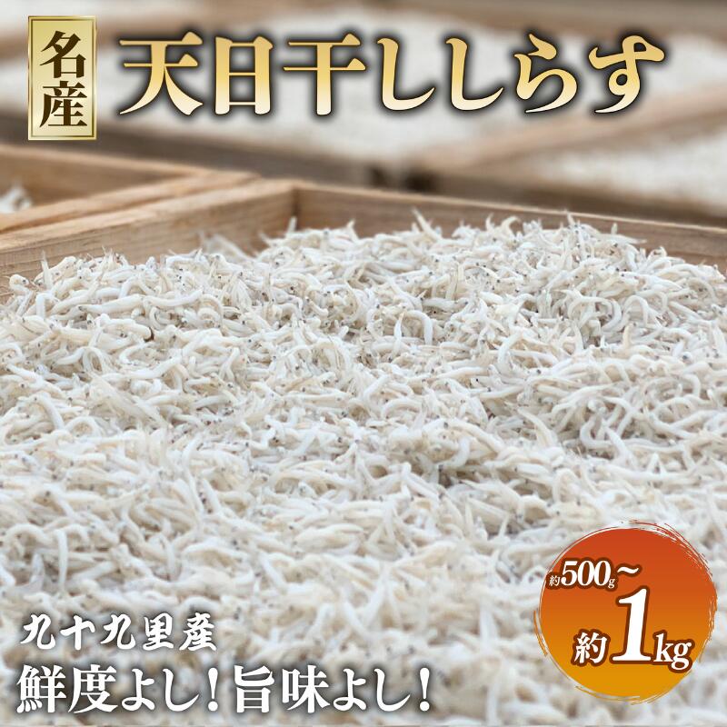 【ふるさと納税】 天日干し しらす 500g (250gx2P) 1kg (250gx4P) 天日干し 水産 魚介類 無添加 国産 九十九里産 海の幸 ギフト プレゼント 人気 おすすめ 送料無料 ふるさと納税千葉県 旭 飯岡ヤマイチ水産-大納屋- メディア 千葉県 旭市