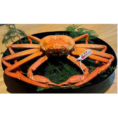 ふるさと納税 鯖江市 【産地直送】越前産　紅ずわいがに　1.0kg以上×1杯 |  | 02