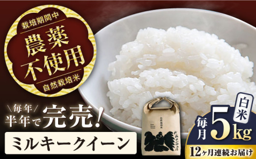 定期便 自然栽培 ミルキークイーン 5kg 白米 米 コメ 5キロ お米  長浜市 おにぎり 炊き込みご飯 人気 おすすめ