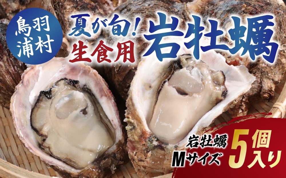 
                  【先行予約／2027年6月下旬より順次発送】12-28生食用岩牡蠣（大福牡蠣）Mサイズ5個入り 岩ガキ 生牡蠣 冷蔵 浦村牡蠣 大福牡蠣 
                