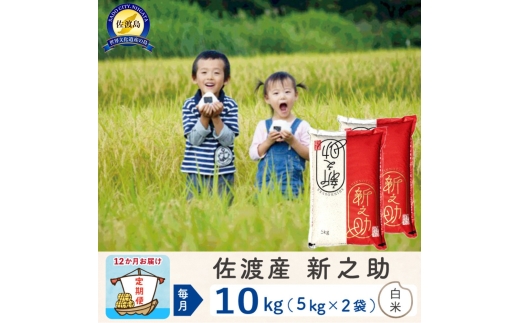 【令和8年産新米 12ヶ月】佐渡島産 新之助 白米 10kg