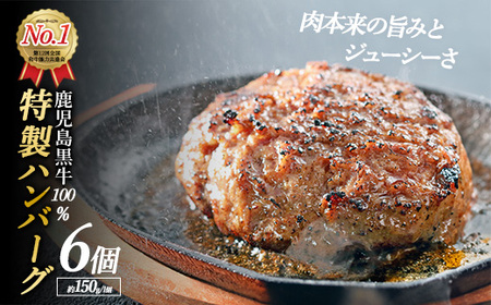鹿児島黒牛特選ハンバーグ6個入り【nixy中山亭】chuzan-6123