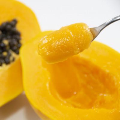 ふるさと納税 伊平屋村 伊平屋産のフルーツパパイヤ 2kg |  | 02