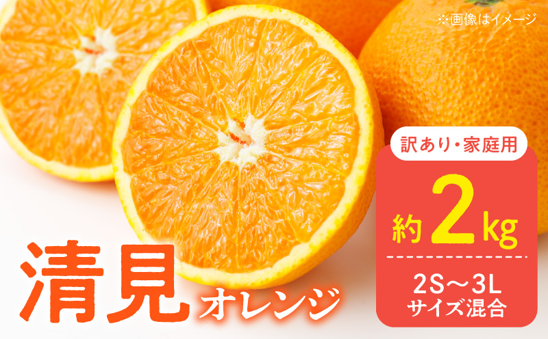 DZ6227_訳あり 家庭用 きよみ 清美オレンジ 和歌山 有田 2S～3Lサイズ混合 2kg