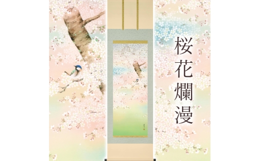 掛け軸「桜花爛漫」 富岡蘇峰 尺五立 サイズ：54.5×190cm 桐箱付 掛け軸 表装 床の間