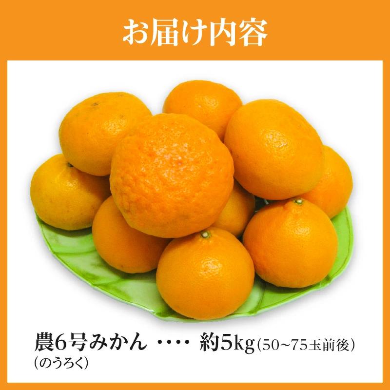 M02-0157_【ふるさと納税】フルーツ デザート 果物 果実 マンダリンオレンジ 高糖度 農6号 みかん のうろく 約5kg 柑橘 農研機構果樹研究所 新品種 お土産 ギフト 風味 香川県 三豊市