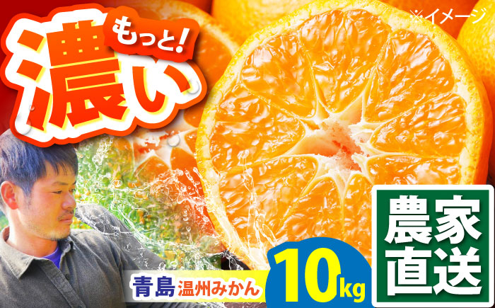 
                  みかん「2027年1月～発送」★ 青島 温州みかん 10kg ★ / みかん ミカン 蜜柑 甘い フルーツ 果物 柑橘 旬 果実 甘味 酸味 甘い mikan 産地直送 ミカン 農家直送 数量限定 国産 先行予約 ご家庭用 ミカン ご当地 お返し 贈り物 人気 贈答用 家庭用 土産 手土産 みかん / 南島原市 / 蜜柑屋まつお [SCQ003]
                