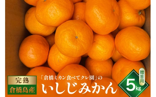 【先行受付】【2026年12月～発送】 倉橋ミカン食べてクレ園 いしじみかん 約5kg / 贈答用 甘い 完熟 オレンジ ワックス不使用 防腐剤不使用 温州ミカン 果実 倉橋島 広島県 呉市 ku154-013-26