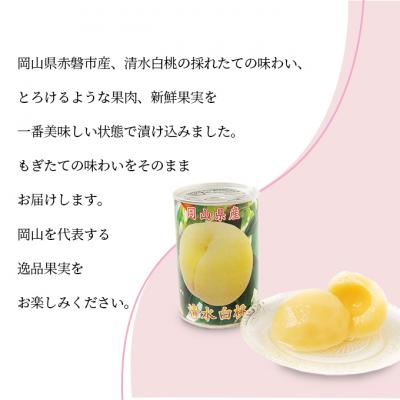 ふるさと納税 赤磐市 清水白桃 シラップ漬け 缶詰め 425g×2缶 岡山県 赤磐市産 加工食品[NO5765-0663] |  | 02
