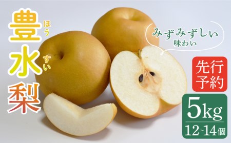 【2026年8月-発送】【南島原産】豊水 梨 （12個から14個） / 梨 なし ナシ 果物 フルーツ / 南島原市 / ながいけ [SCH038]