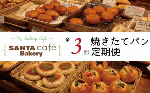 パン屋さん直送！焼きたてパン詰め合わせ定期便【全3回】 パン 定期便 朝食 国産 小麦 お取り寄せ ベーカリー 焼き立て ご当地 八女市