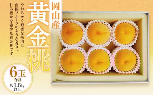 黄金桃 6玉（合計1.6kg以上） 化粧箱入り 【2026年8月下旬～9月上旬迄発送予定】 黄金 モモ もも 桃 フルーツ 果物 国産