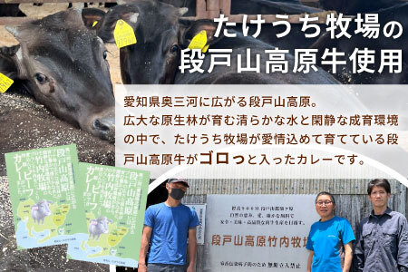 お肉がごろっと入った！たけうち牧場のビーフカレー お試し 1個 国産牛 ご当地カレー カレー 中辛 ブランド牛カレー レトルトカレー スパイス 段戸牛カレー  -217