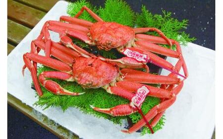 95.【ボイル】タグ付き松葉ガニ　大2枚※2025年11月上旬～2026年3月下旬頃に順次発送予定