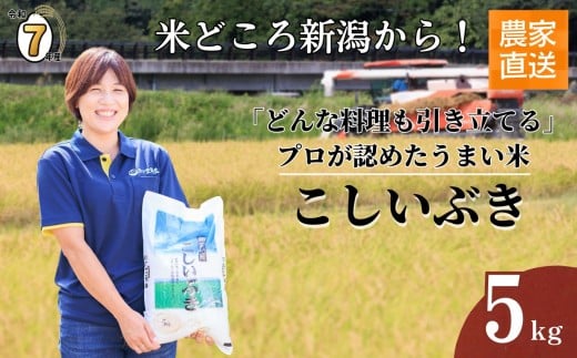【2026年7月発送】令和7年産新米予約 プロが認めたうまい米『こしいぶき』5kg 新潟県糸魚川産 農家直送 2025年産 あぐ里能生【新潟県 糸魚川市 米 お米 こめ コメ ご飯 ライス ふるさと納税米 ブランド米 おすすめ ギフト 5キロ 精米 白米 人気 食品 選べる配送月 先行予約】