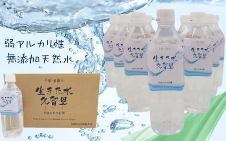 【 平成の名水百選 】 君津市 久留里の名水 生きた水 ・ 久留里 ペットボトル 2ケース  48本  （ 1ケース 500ml ペットボトル 24本 × 2 ） | ミネラルウォーター 飲料 ドリン