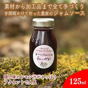 手づくりジャムソース 8本セット 手作りみかん キウイ あまなつ ブルーベリー 125ml 詰め合わせ ギフト 【 家庭用 自宅用 贈答品 贈答用 ギフト お取り寄せ お中元 お歳暮 贈り物 お祝い 