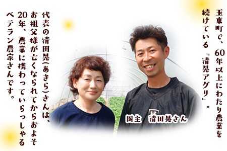 『清晃アグリ』の不知火(しらぬい)約4kg(L-4Lサイズ)10玉-16玉前後 《3月上旬-3月末頃出荷》予約受付中 フルーツ 旬★あのデコポンと同品種★ 熊本県玉名郡玉東町