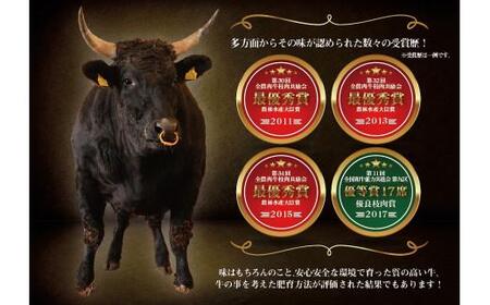 牛肉 黒毛和牛 赤身ステーキ 500g ( 250g × 2枚 )