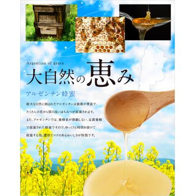 ふるさと納税 高森町 かの蜂 アルゼンチン産 ピュアハニー 1kg(AR500g×2本)百花蜂蜜(高森町) |  | 02