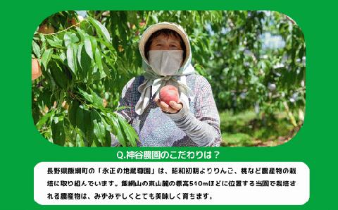 りんご サンふじ ( スマートフレッシュ 加工 ) 家庭用 5kg 神谷農園 沖縄配送不可 2024年3月上旬頃?2024年5月上旬頃まで順次発送予定 令和5年度収穫分 長野県 飯綱町 [1296]