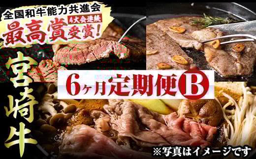 ＜先行予約受付中！2026年2月から発送開始予定＞【定期便・全6回(連続)】宮崎牛定期便＜Bセット＞お楽しみ 牛肉 国産 定期 ヒレ肉 ひれにく モモ ウデ ロース バラ スライス 宮崎県産 黒毛和牛 焼肉 ステーキ しゃぶしゃぶ すき焼き【R-68】【株式会社ミヤチク】