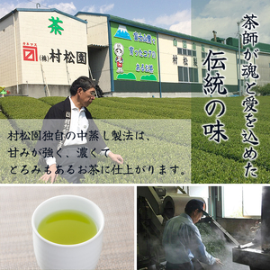 お茶 「大地の茶」500g (100g×5袋) お茶の葉 日本茶 緑茶 茶葉 セット 富士山麓 コク中蒸し製法 こだわり 美味しい 銘茶 煎茶 ギフト プレゼント 飲み物 富士のやぶ北茶 静岡茶 お茶