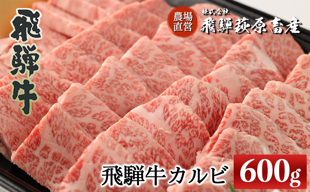 
飛騨牛カルビ焼肉 600g　 国産 牛肉 ブランド牛【冷凍】焼き肉 おすすめ ギフト 贈答 高級
