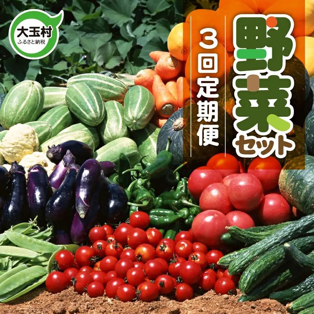 【3回定期便】野菜定期便 野菜セット 3ヶ月 3回 （毎回10種類前後発送）