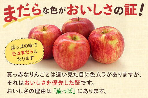 ＜先行受付 12月下旬より発送＞横手産 葉とらずふじ 約5kg