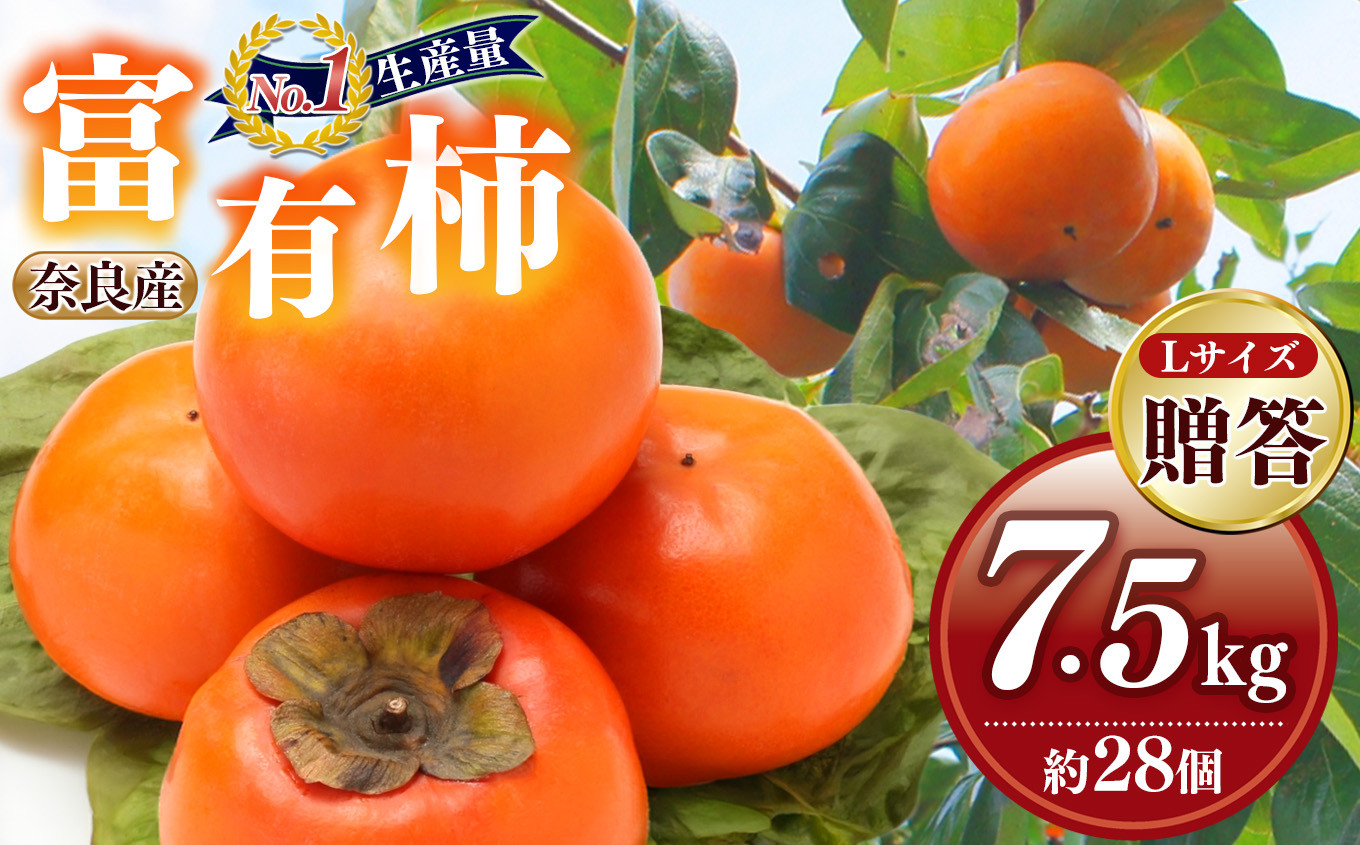 
            Sunファーム 富有柿 贈答用 Lサイズ 28個 入（約 7.5kg ） | フルーツ くだもの 果物 柿 かき カキ 富有柿 日本一の柿のまち 秋の味覚 贈答用 贈り物 奈良県 五條市 こだわり 逸品 果実 11月 12月 発送 秋 旬 味覚 グルメ お取り寄せ 送料無料 大容量 農家直送 産地直送 贈答 特選 化粧箱 美容 健康 特産品 多汁 甘い 柔らかい ジューシー 甘柿 
          