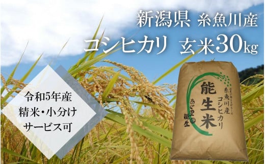 
新潟県糸魚川産コシヒカリ 玄米30㎏ 農家直送（精米サービス可能） 令和5年産 10kg小分け可能 おいしいお米 あぐ里能生 こしひかり
