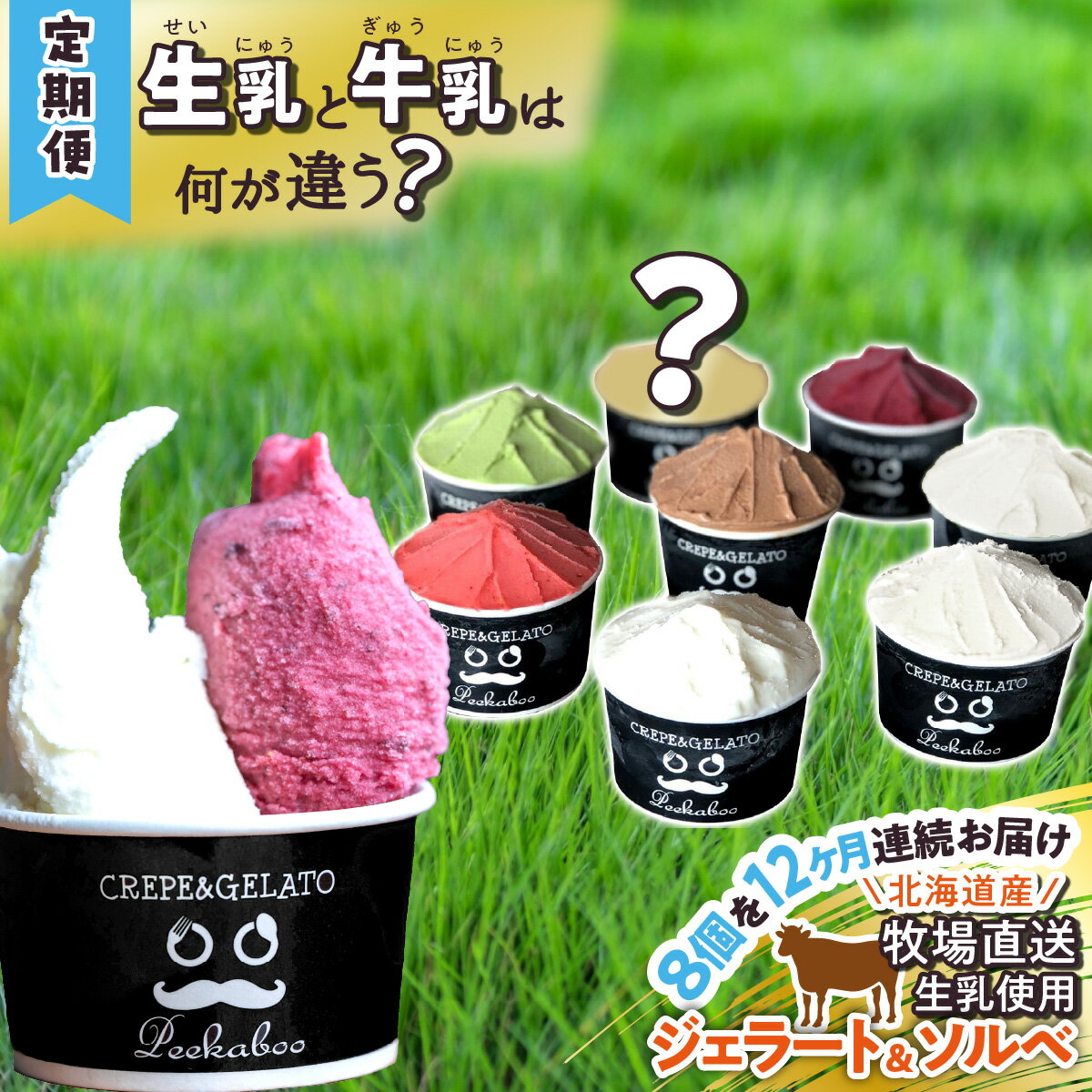 ＜12ヶ月定期便＞ アイス ジェラート ソルベ 毎月 8個 北海道産 生乳 ジェラートセット スイーツ ミルク カップアイス カップ 詰め合わせ 冷凍 北海道 新ひだか町
